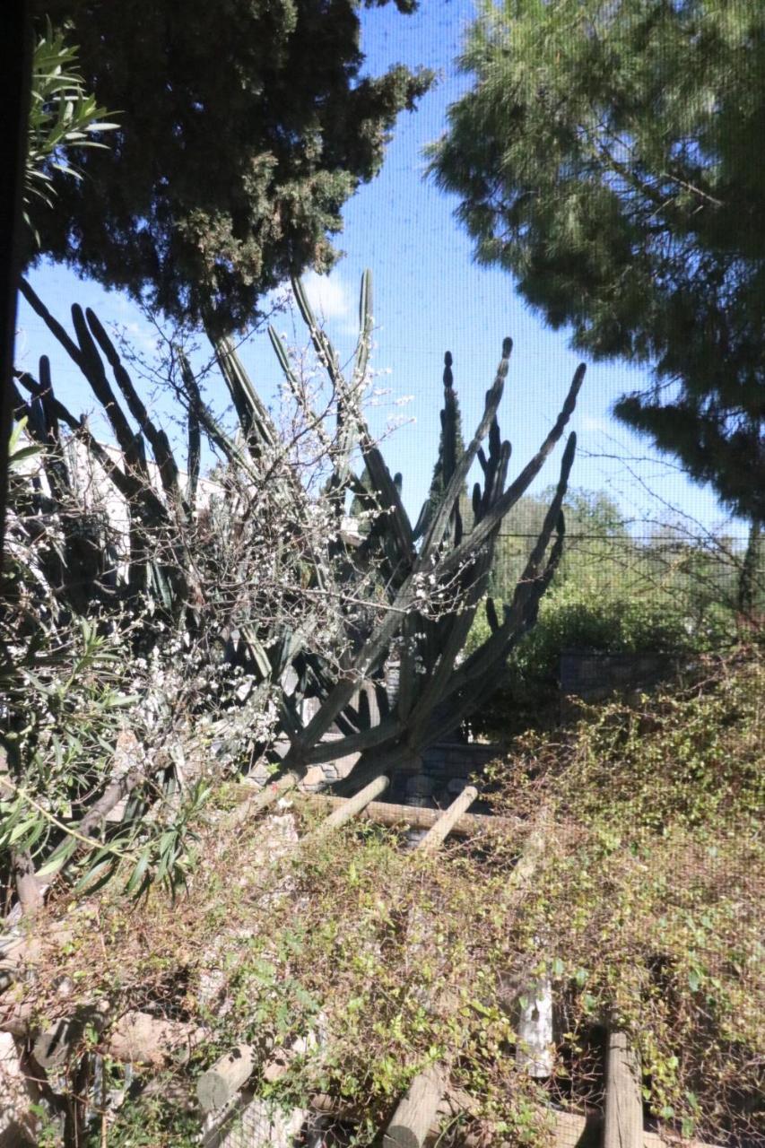 Frühstückspension Ha La Bodrum